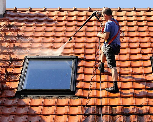 Michelet Rénovation - Nettoyage de toiture professionnel élagage rénovation Auvergne-Rhône-Alpes